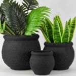 Ceramic Pottery Manufacturer