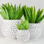 Ceramic Pottery Manufacturer