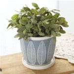 Ceramic Pottery Manufacturer