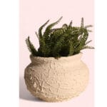 Ceramic Pottery Manufacturer