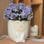 Ceramic Pottery Manufacturer