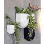Ceramic Pottery Manufacturer