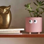Ceramic Pottery Manufacturer