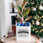 Ceramic Pottery Manufacturer