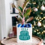 Ceramic Pottery Manufacturer