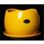 Ceramic Pottery Manufacturer