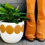 Ceramic Pottery Manufacturer