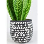 Ceramic Pottery Manufacturer