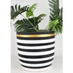 Ceramic Pottery Manufacturer