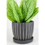 Ceramic Pottery Manufacturer