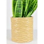 Ceramic Pottery Manufacturer