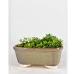 Ceramic Pottery Manufacturer