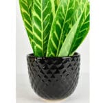 Ceramic Pottery Manufacturer