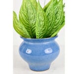 Ceramic Pottery Manufacturer