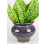 Ceramic Pottery Manufacturer