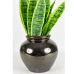 Ceramic Pottery Manufacturer