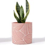 Ceramic Pottery Manufacturer