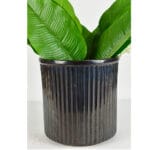 Ceramic Pottery Manufacturer