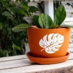 Ceramic Pottery Manufacturer