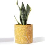 Ceramic Pottery Manufacturer