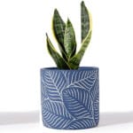 Ceramic Pottery Manufacturer