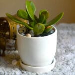 Ceramic Pottery Manufacturer