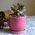 Ceramic Pottery Manufacturer