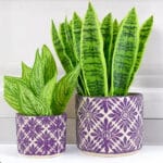 Ceramic Pottery Manufacturer