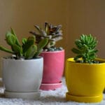 Ceramic Pottery Manufacturer