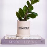 Ceramic Pottery Manufacturer