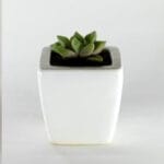 Ceramic Pottery Manufacturer