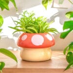 Ceramic Pottery Manufacturer