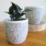 Ceramic Pottery Manufacturer