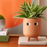 Ceramic Pottery Manufacturer