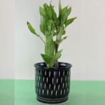 Ceramic Pottery Manufacturer