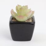 Ceramic Pottery Manufacturer