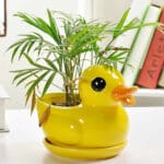 Ceramic Pottery Manufacturer