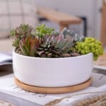 Ceramic Pottery Manufacturer