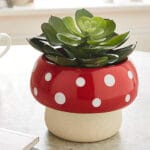 Ceramic Pottery Manufacturer