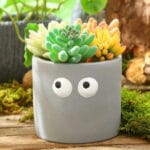 Ceramic Pottery Manufacturer