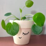 Ceramic Pottery Manufacturer