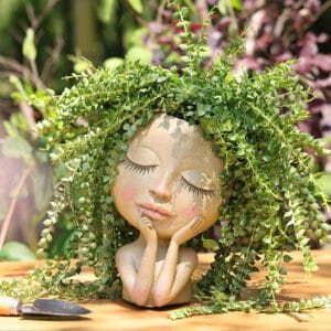 Resin plants pot