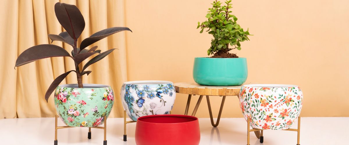 Ceramic Pottery Manufacturer Ceramic Planters for a Stylish Indoor Garden