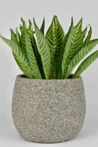 ceramic planters wholesale