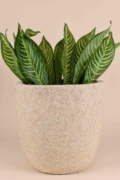 Ceramic Pottery Manufacturer