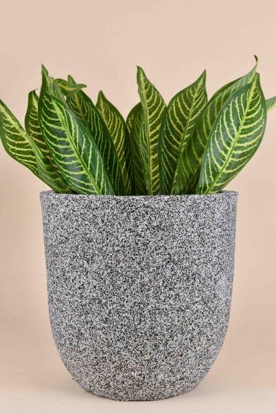 Ceramic Pottery Manufacturer
