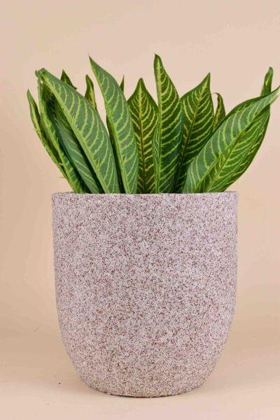Ceramic Pottery Manufacturer