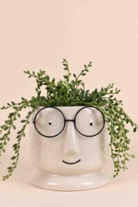 Decorative Ceramics Pots Pista White