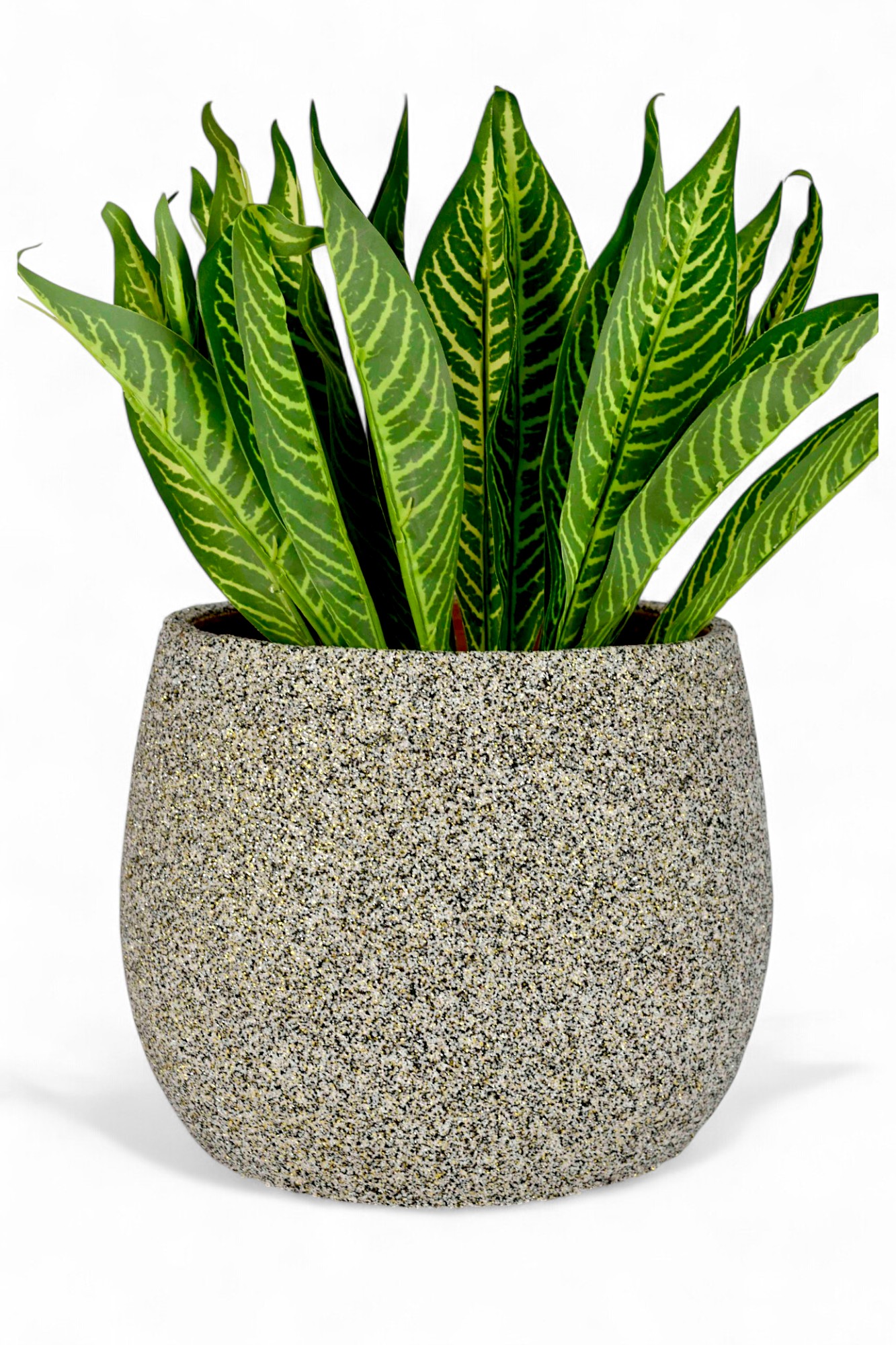 Ceramic Pots near me
