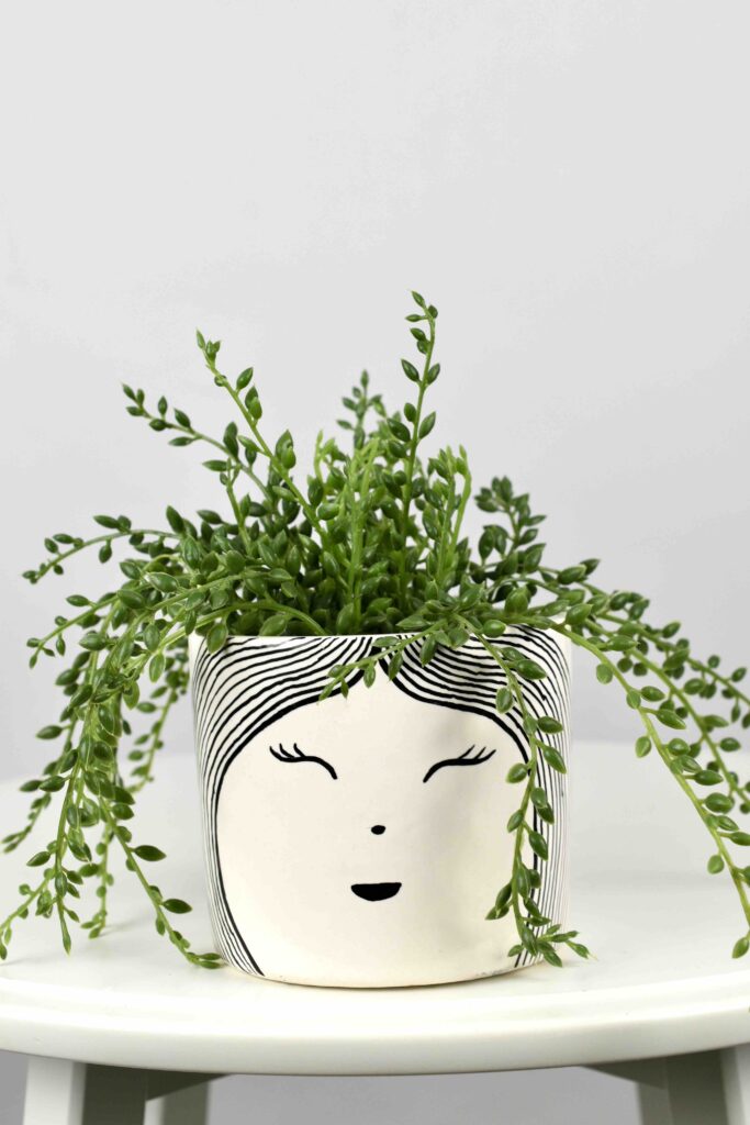 Ceramic Pottery Manufacturer Ceramic pots & planters wholesale